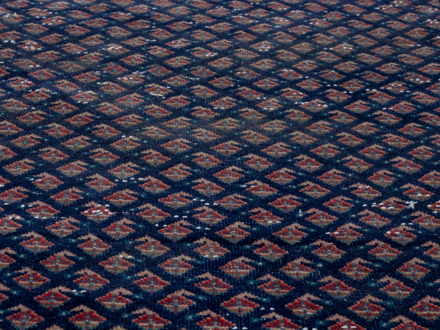 CAN_4328 - 1'10" x 7'11"