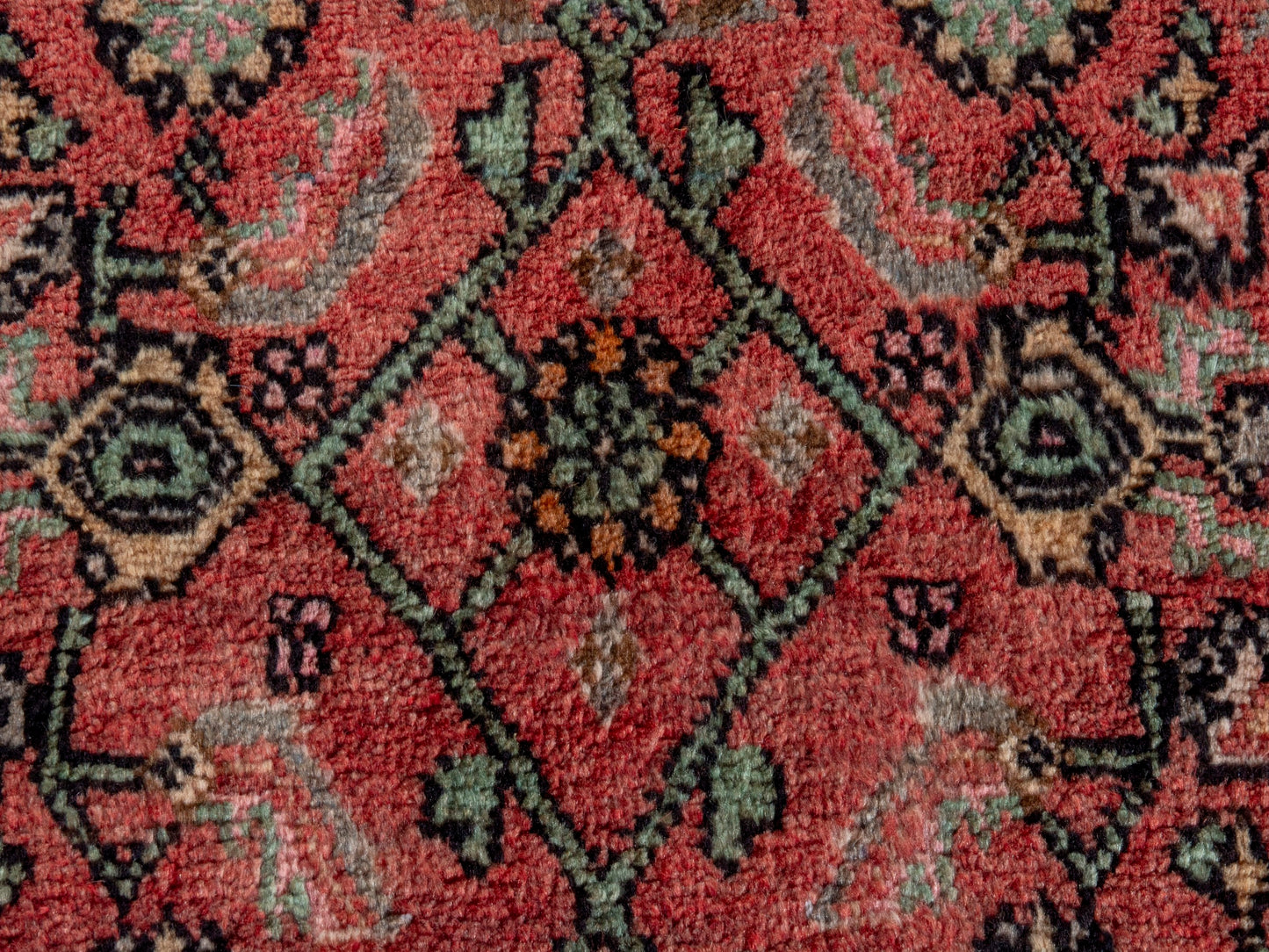 CAN_4338 - 3'10" x 12'