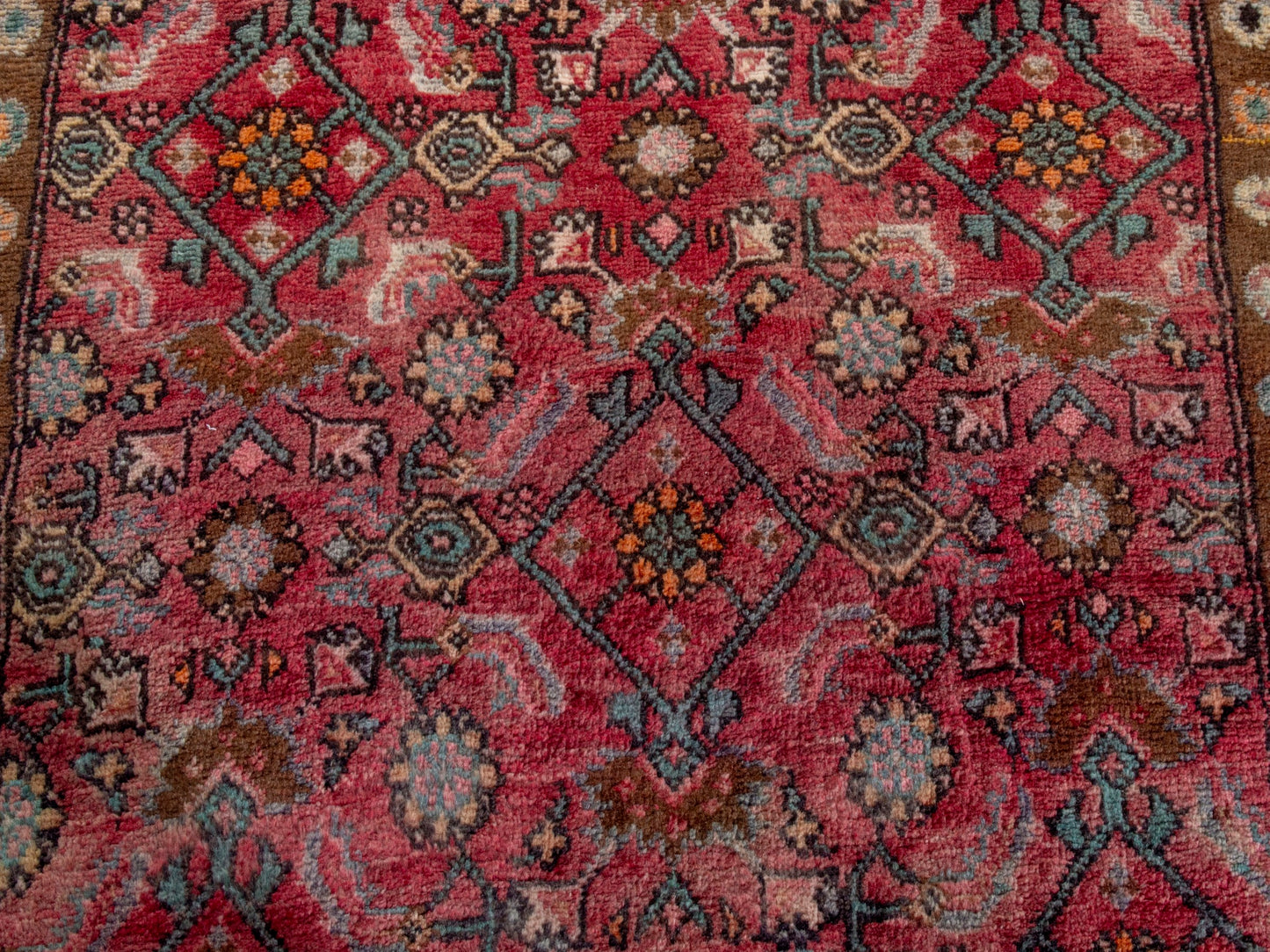 CAN_4338 - 3'10" x 12'