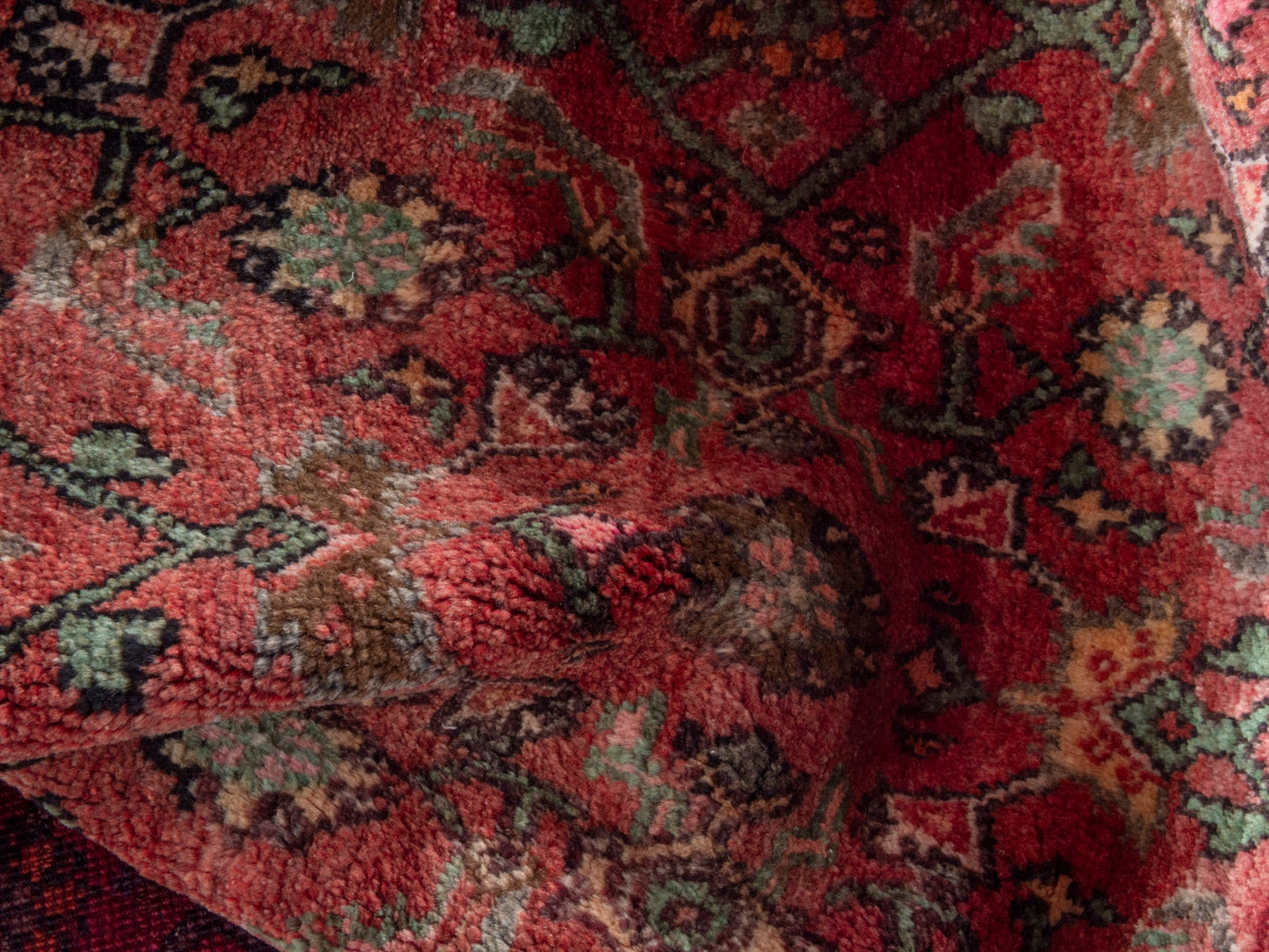 CAN_4338 - 3'10" x 12'