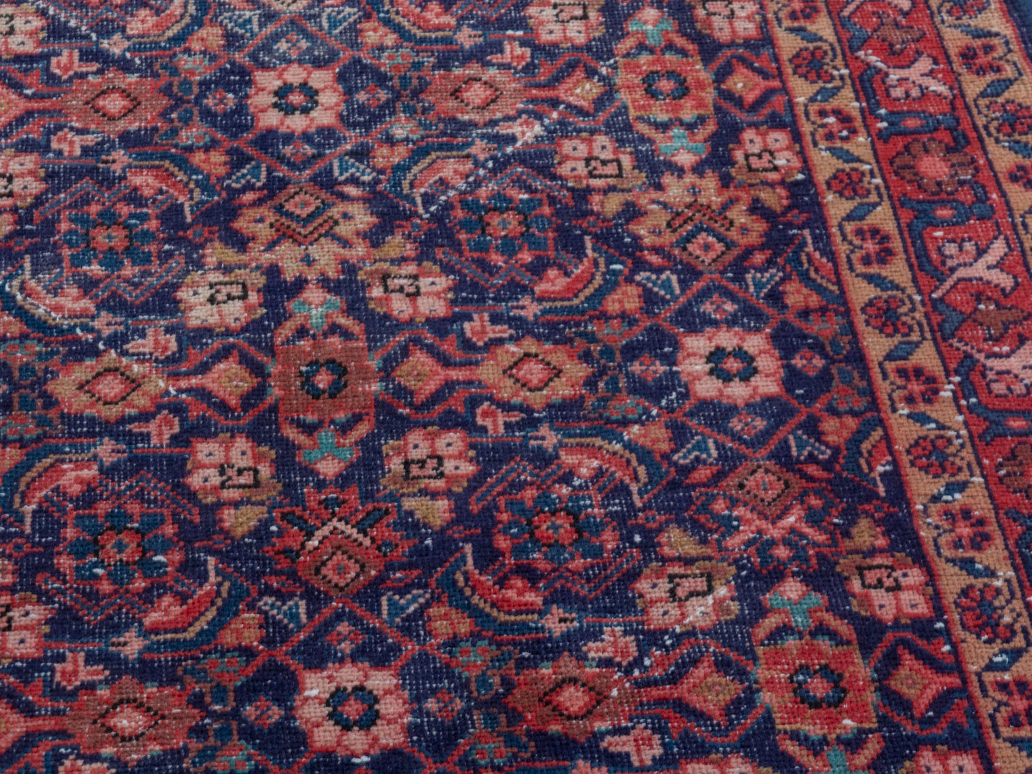 CAN_4340 - 3'3" x 10'2"