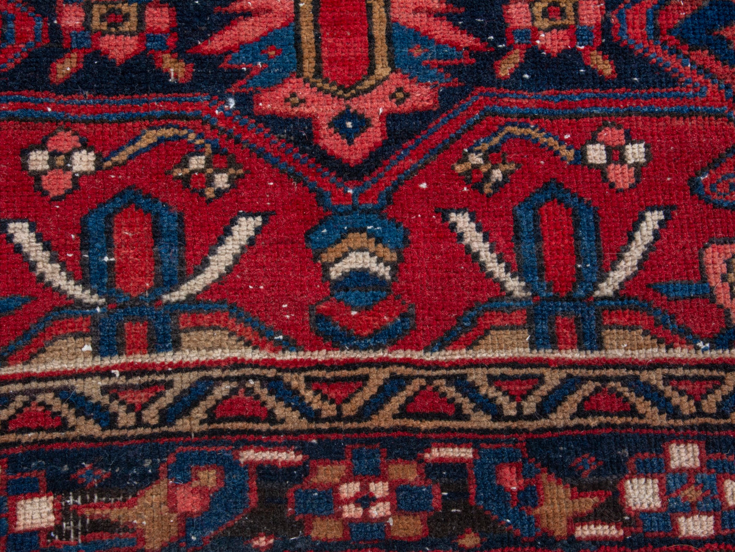 CAN_4342 - 3'5" x 11'1"