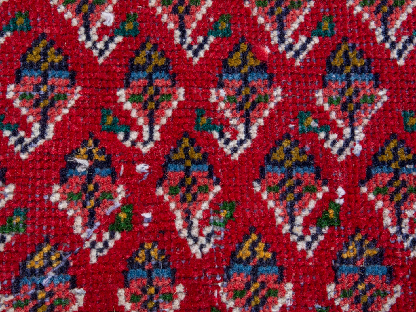 CAN_4348 - 3'11" x 8'6"