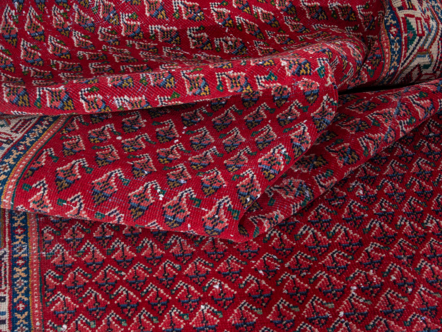 CAN_4348 - 3'11" x 8'6"
