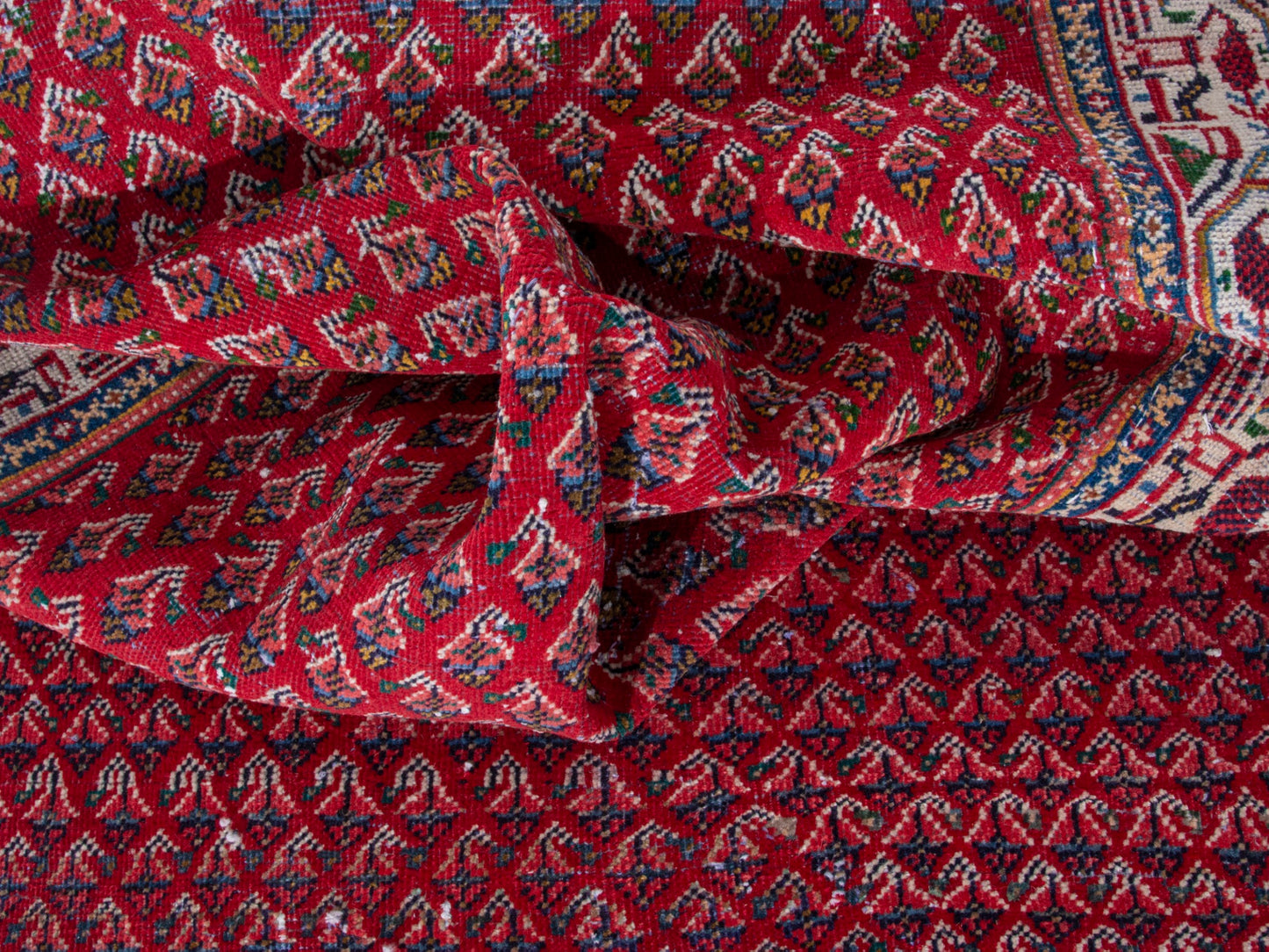 CAN_4348 - 3'11" x 8'6"