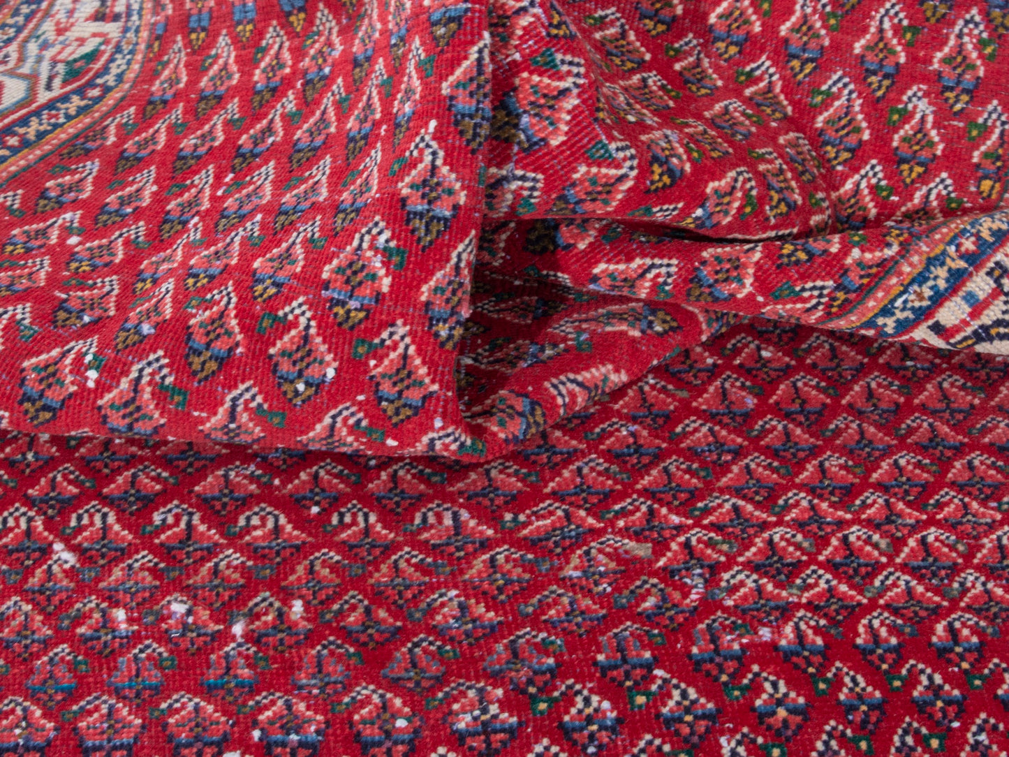 CAN_4348 - 3'11" x 8'6"