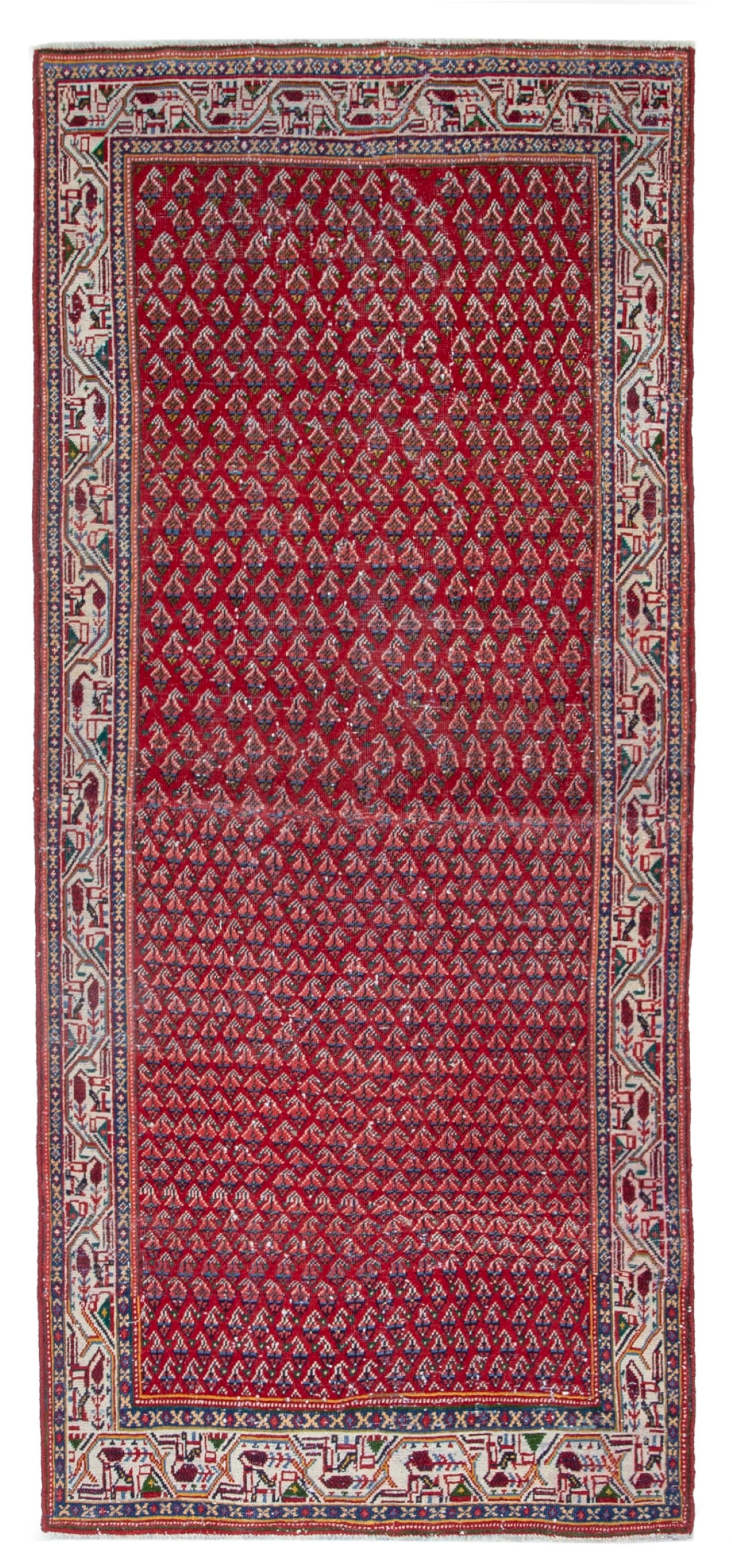 CAN_4348 - 3'11" x 8'6"