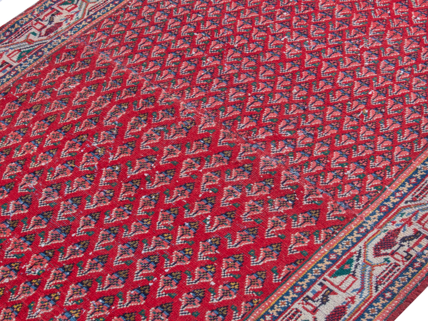 CAN_4348 - 3'11" x 8'6"