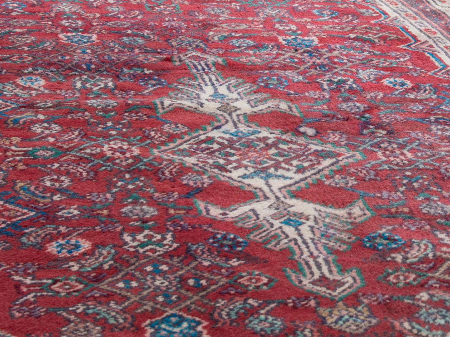 CAN_4360 - 3'3" x 9'10"
