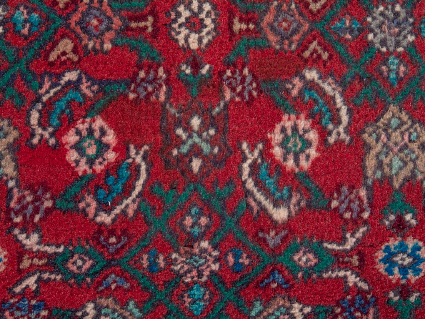 CAN_4360 - 3'3" x 9'10"