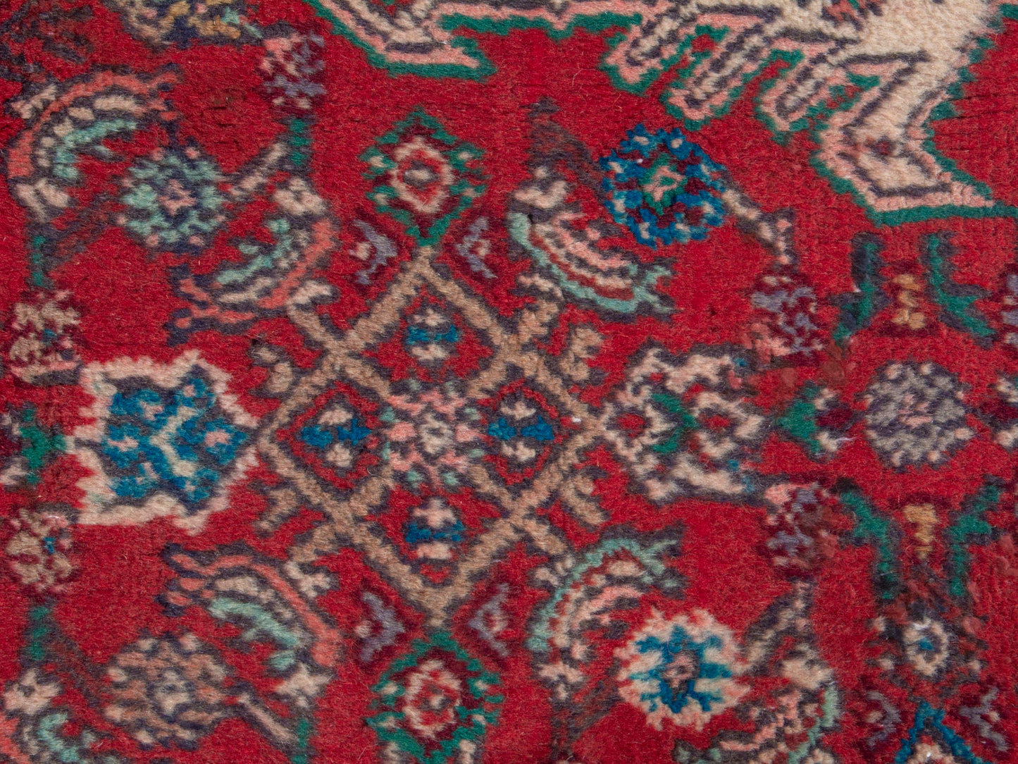 CAN_4360 - 3'3" x 9'10"