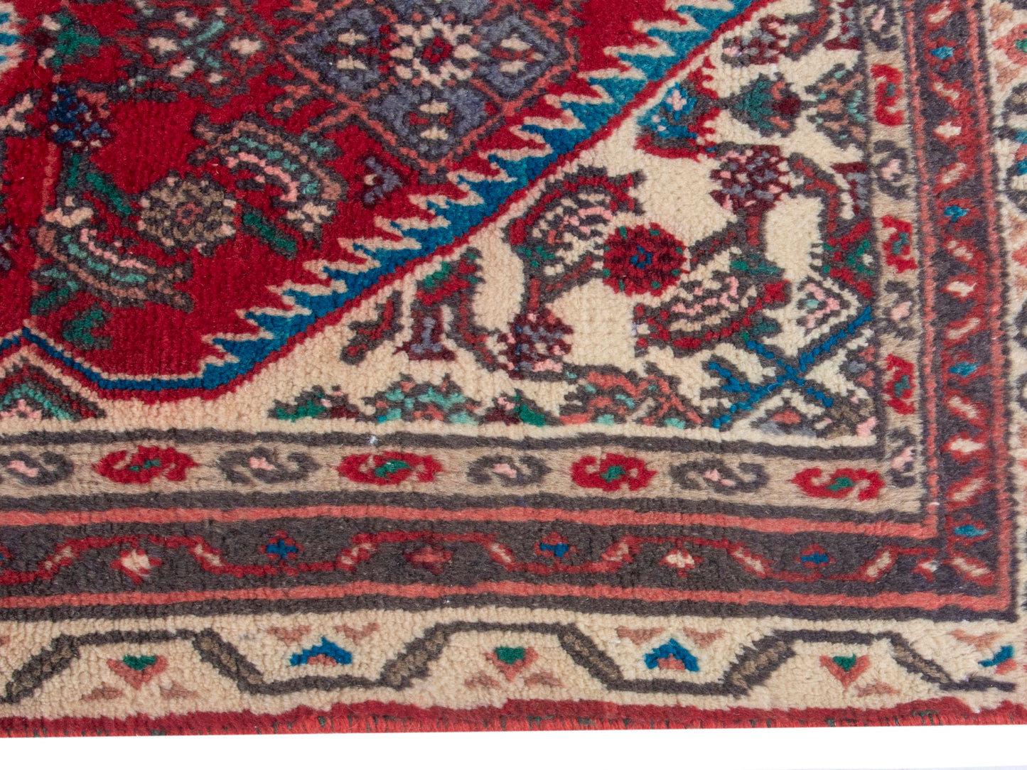 CAN_4360 - 3'3" x 9'10"