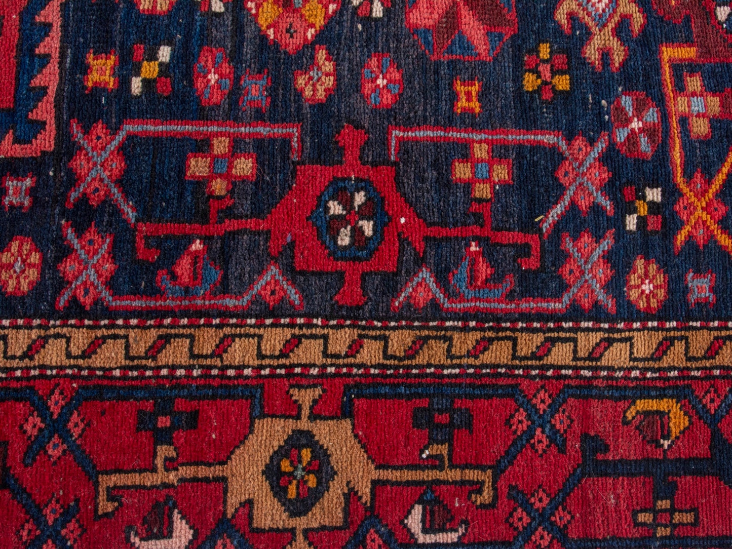 CAN_4361 - 3'1" x 11'2"