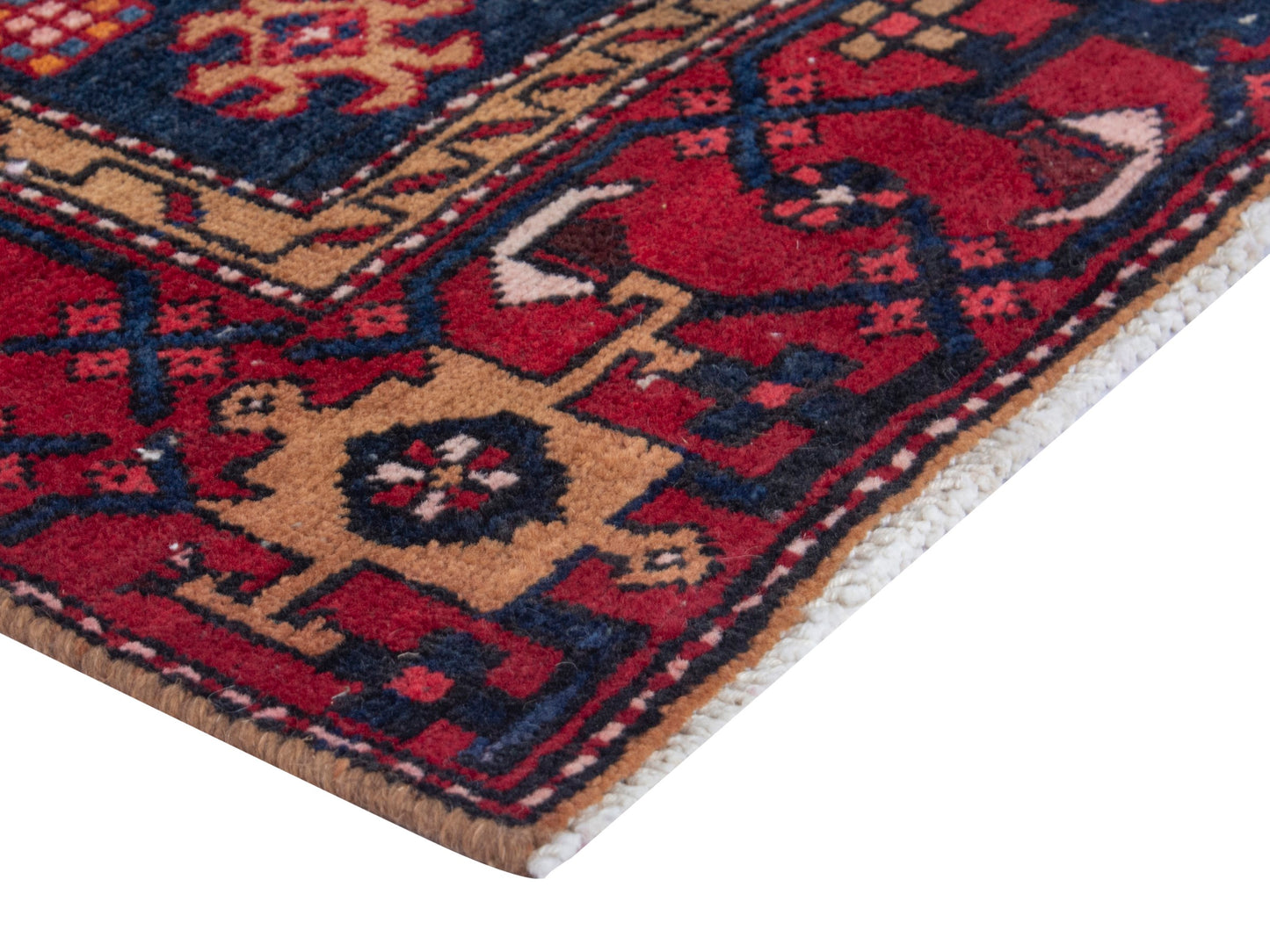 CAN_4361 - 3'1" x 11'2"