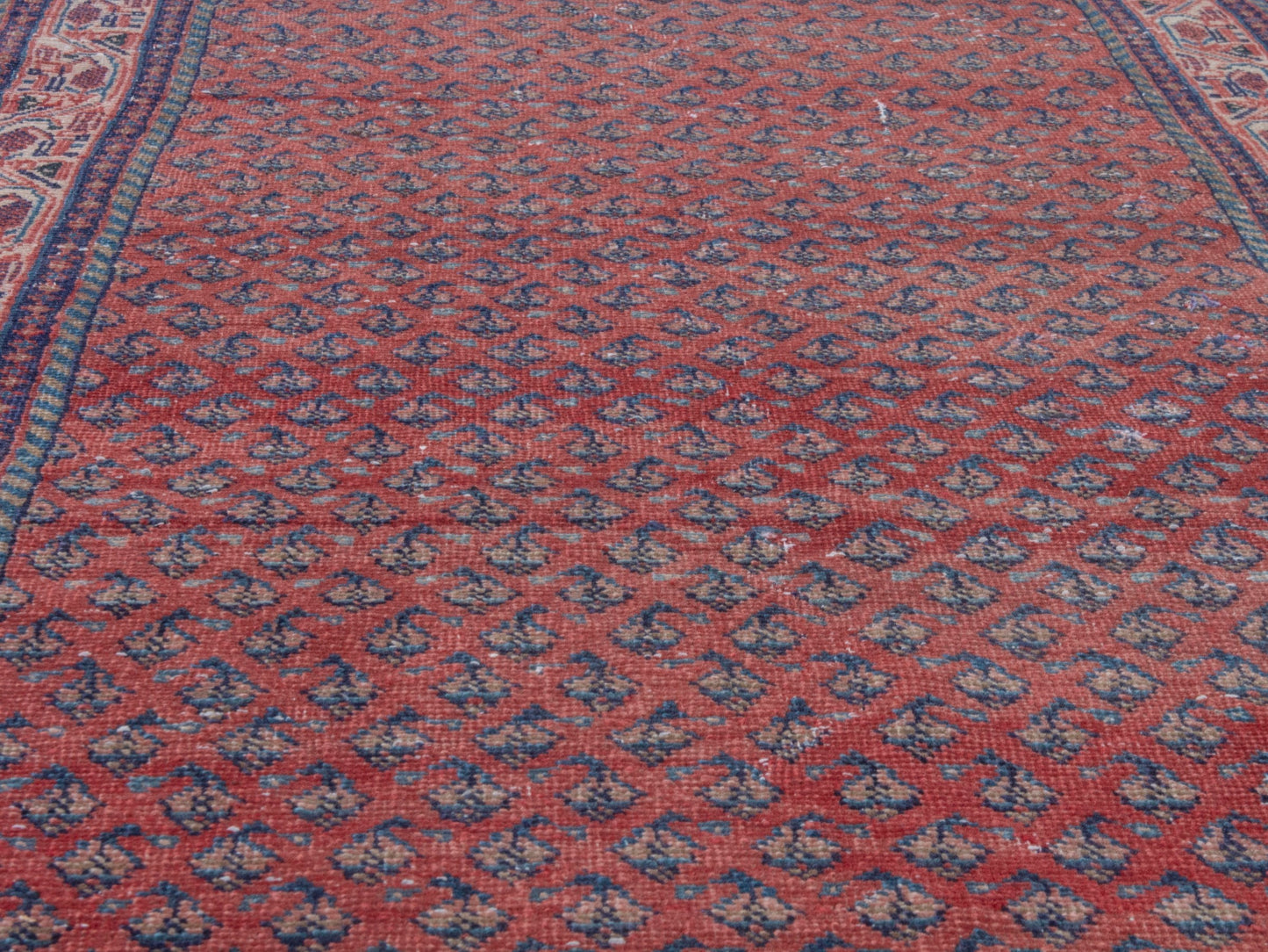 CAN_4373 - 3'7" x 10'