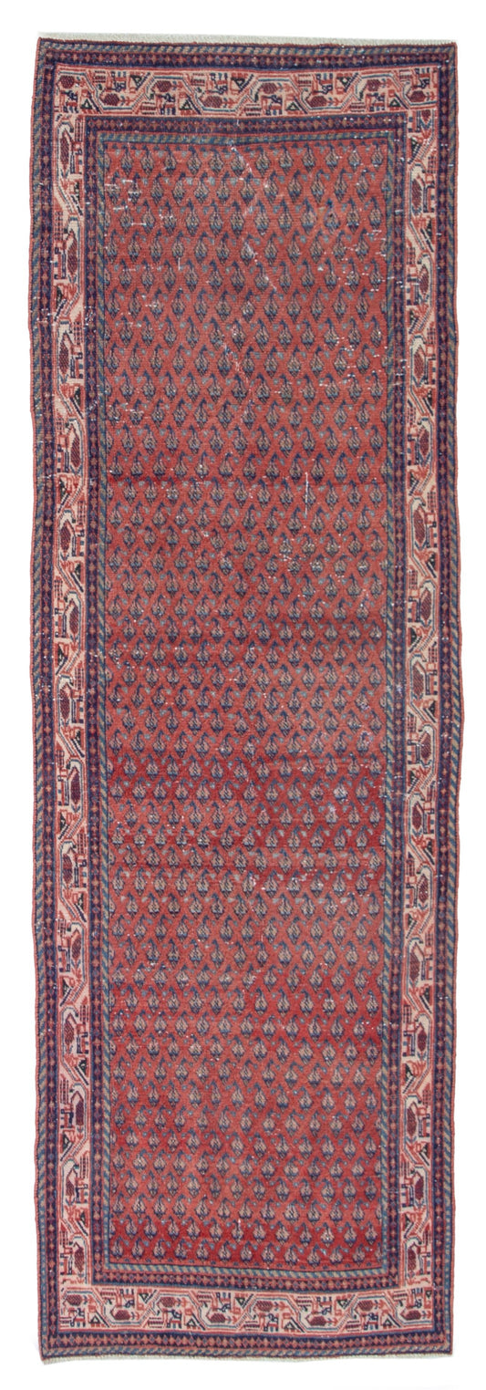 CAN_4373 - 3'7" x 10'