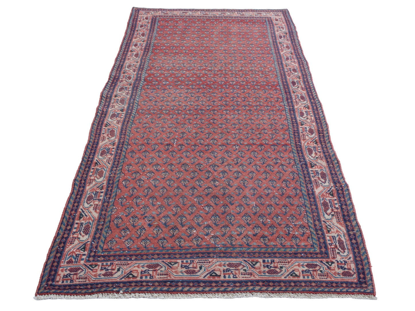 CAN_4373 - 3'7" x 10'