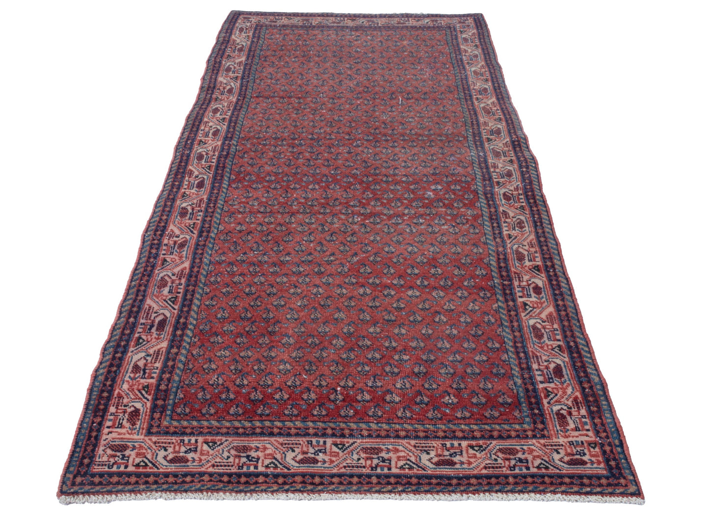 CAN_4373 - 3'7" x 10'
