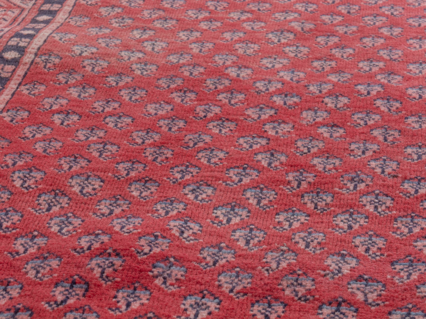 CAN_4377 - 2'11" x 9'10"