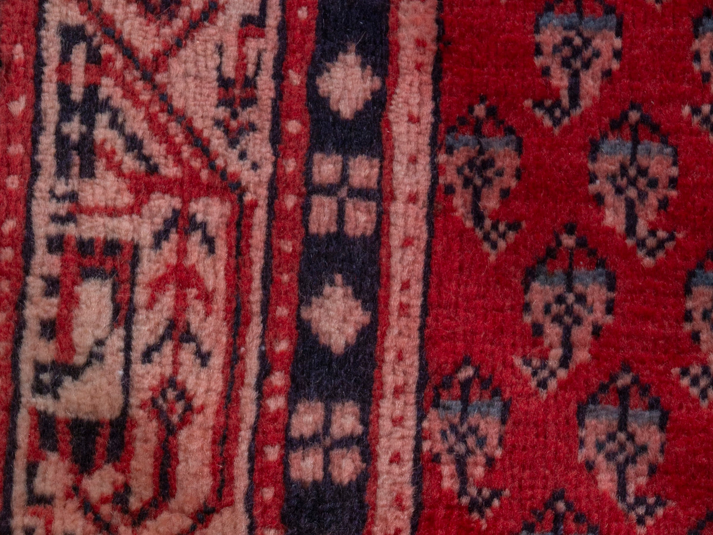 CAN_4377 - 2'11" x 9'10"