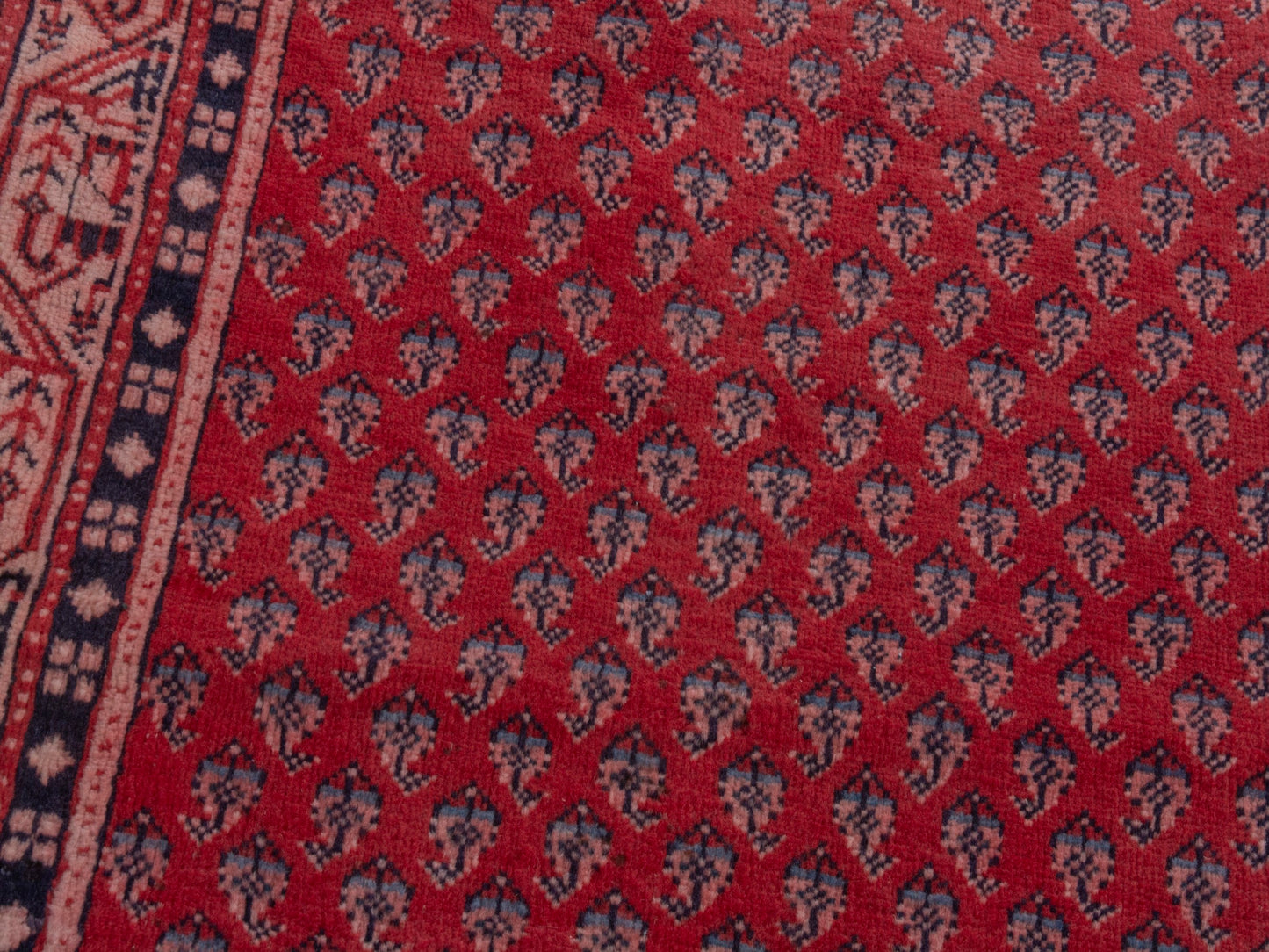 CAN_4377 - 2'11" x 9'10"