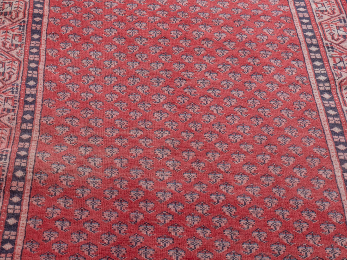 CAN_4377 - 2'11" x 9'10"