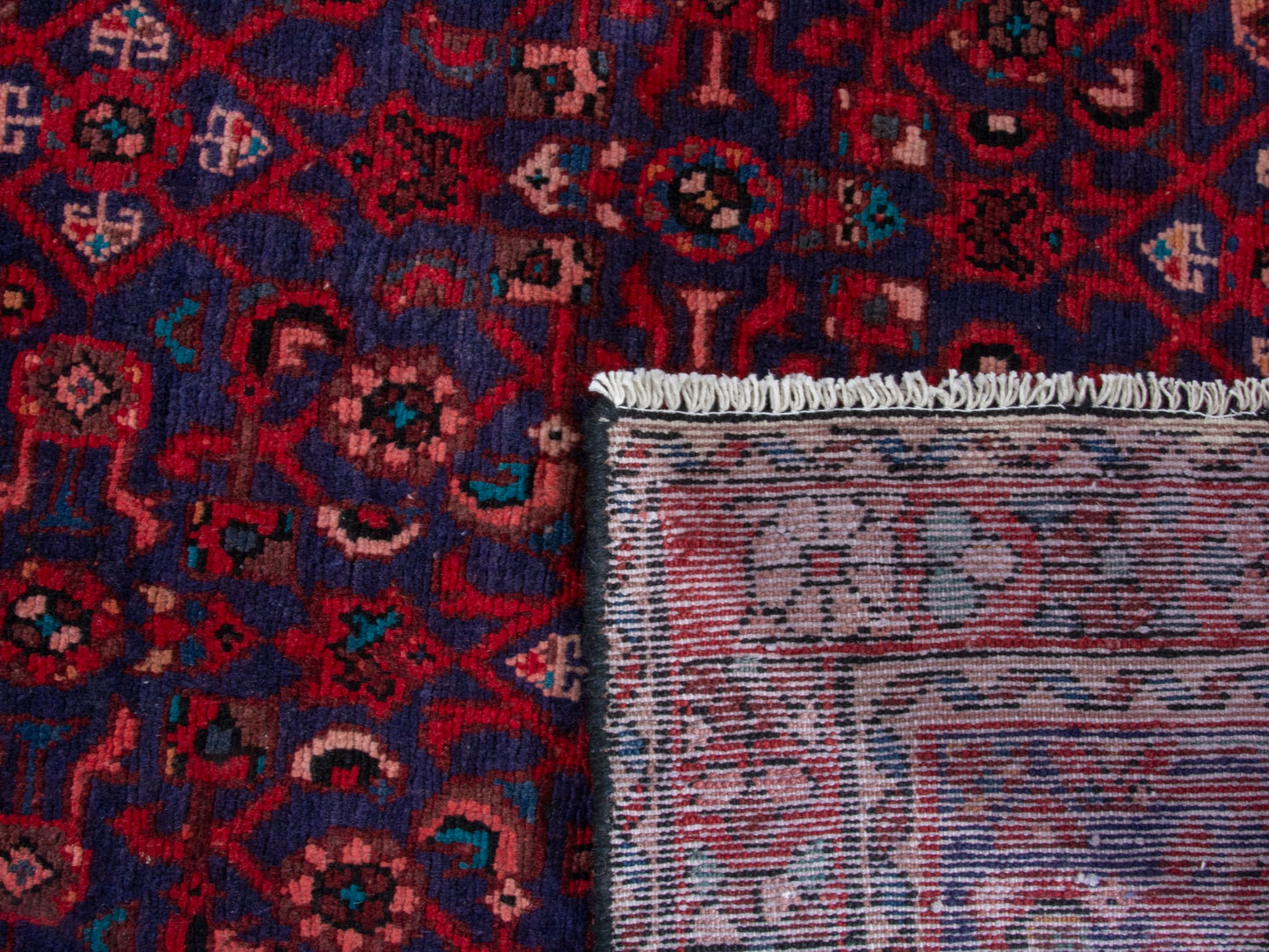 CAN_4379 - 3'5" x 10'1"