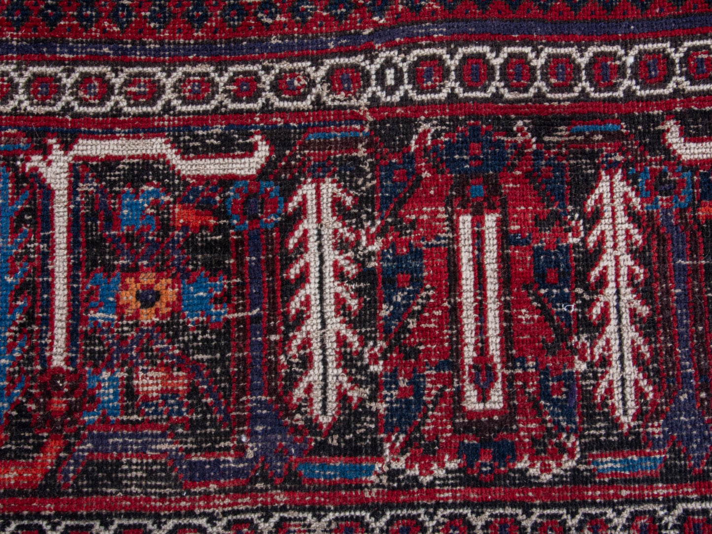 CAN_4384 - 9'10" x 13'1"