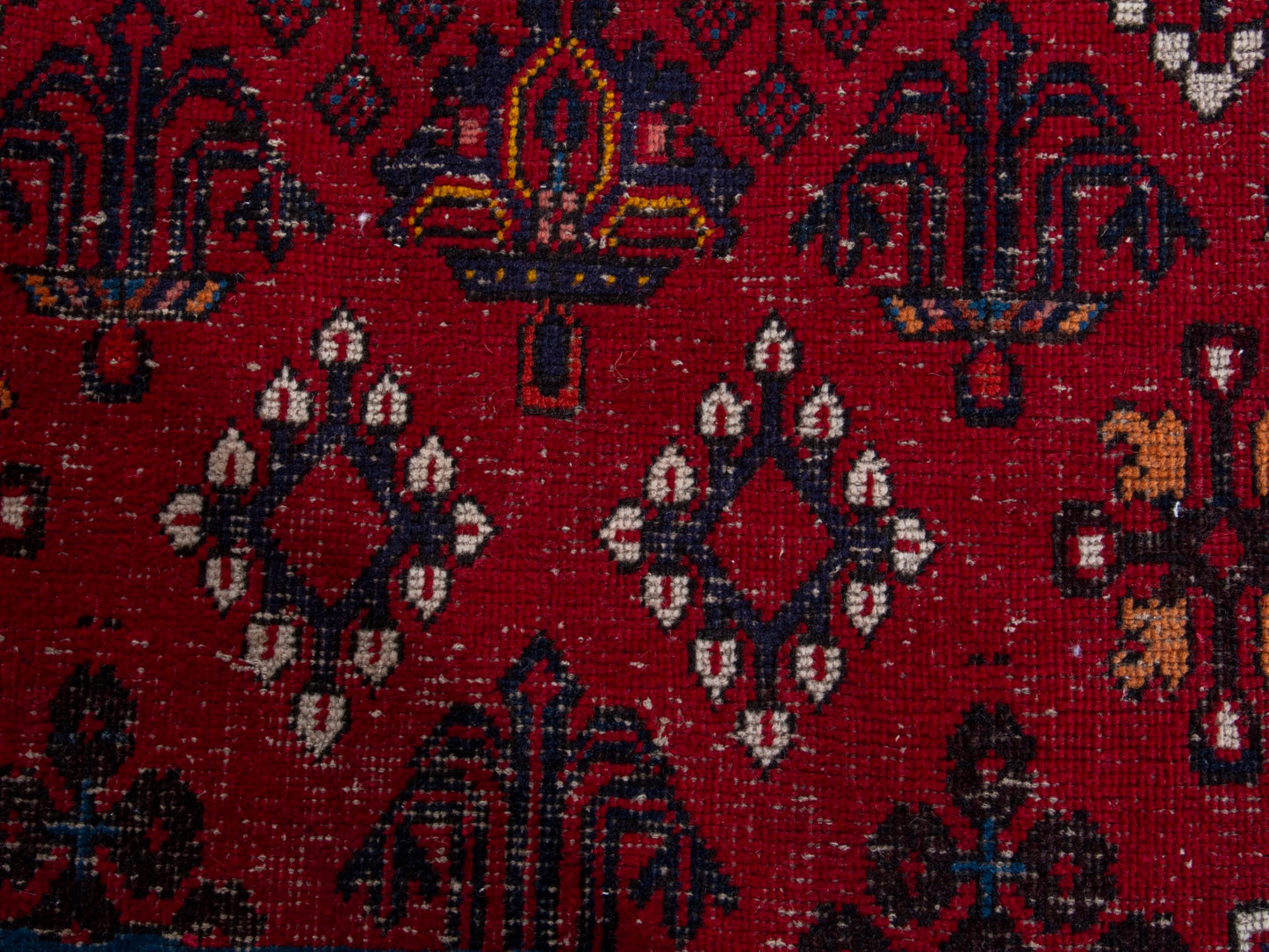 CAN_4384 - 9'10" x 13'1"