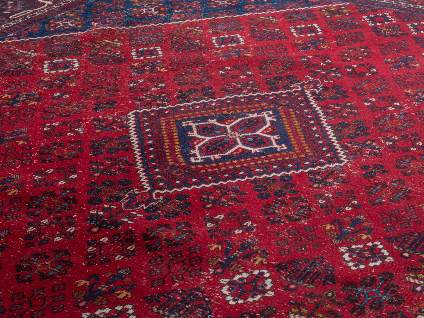 CAN_4384 - 9'10" x 13'1"