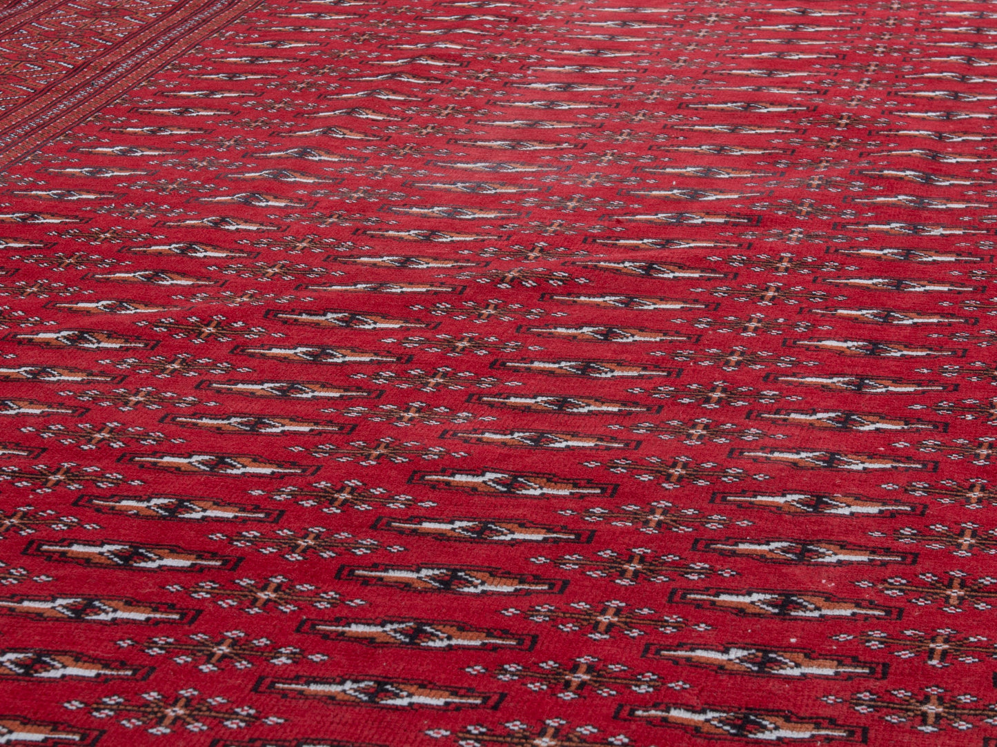 CAN_4387 - 8'1" x 10'10"