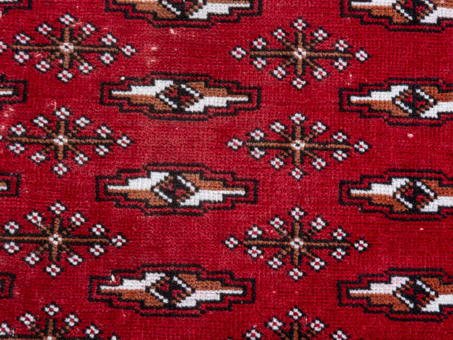 CAN_4387 - 8'1" x 10'10"