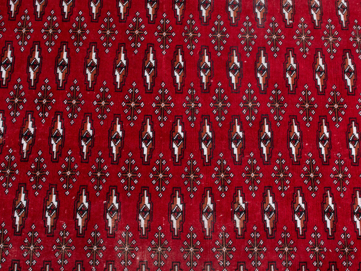 CAN_4387 - 8'1" x 10'10"