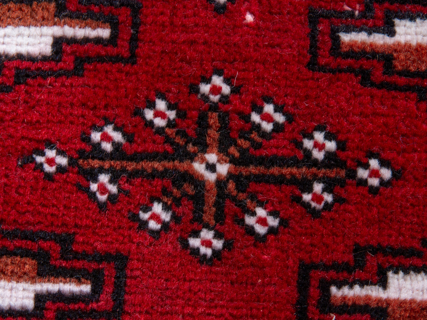 CAN_4387 - 8'1" x 10'10"