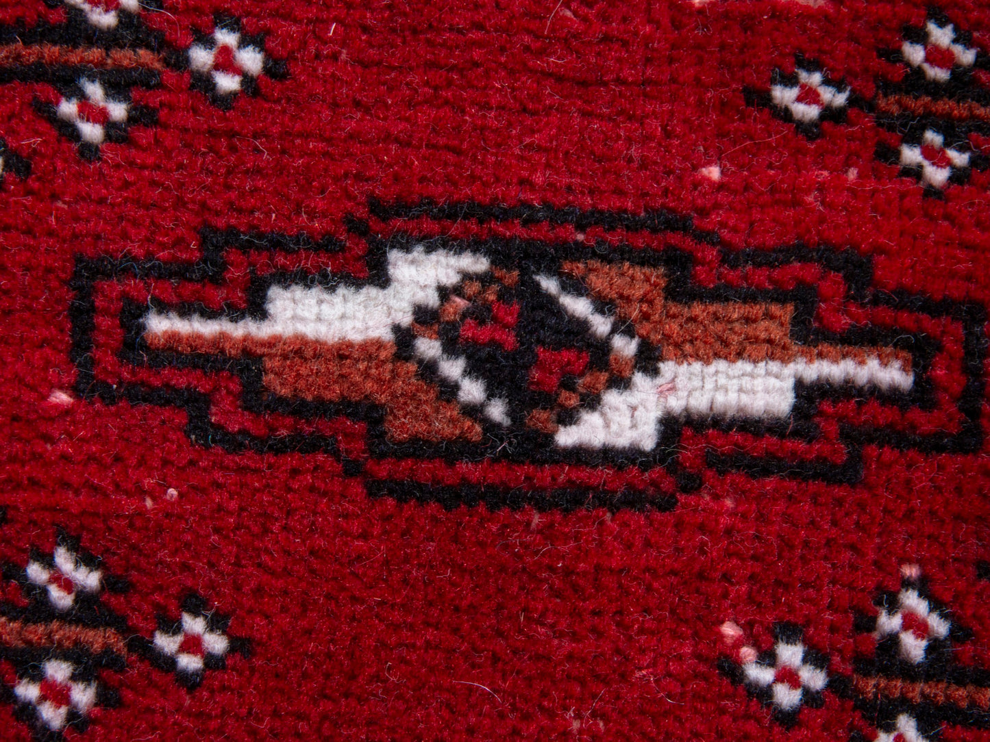 CAN_4387 - 8'1" x 10'10"