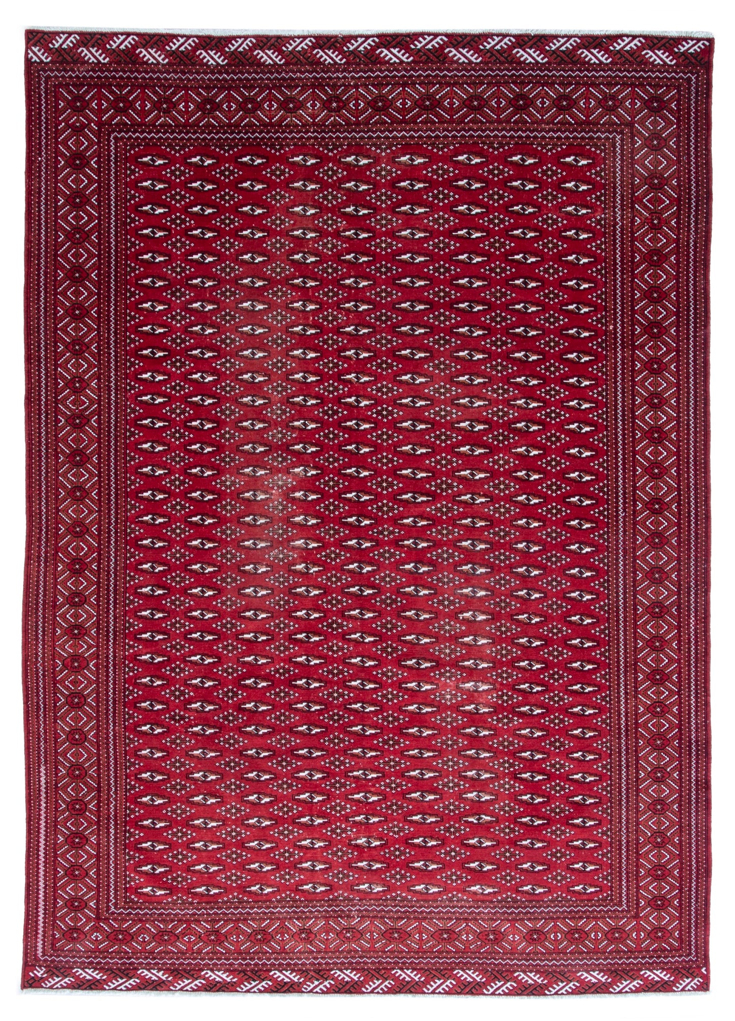 CAN_4387 - 8'1" x 10'10"