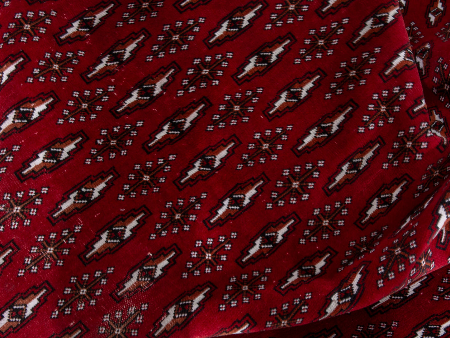 CAN_4387 - 8'1" x 10'10"