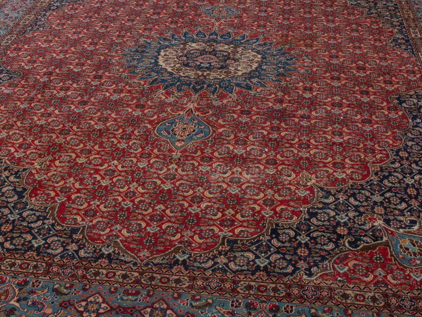 CAN_4391 - 8'6" x 11'10"