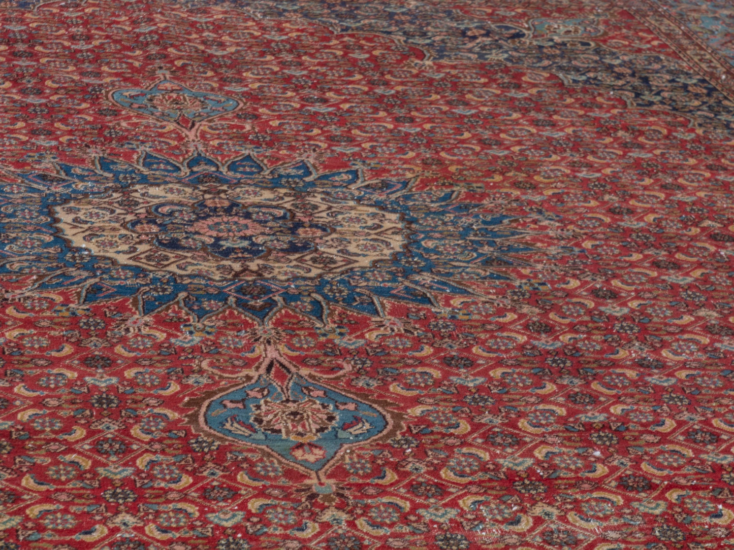 CAN_4391 - 8'6" x 11'10"