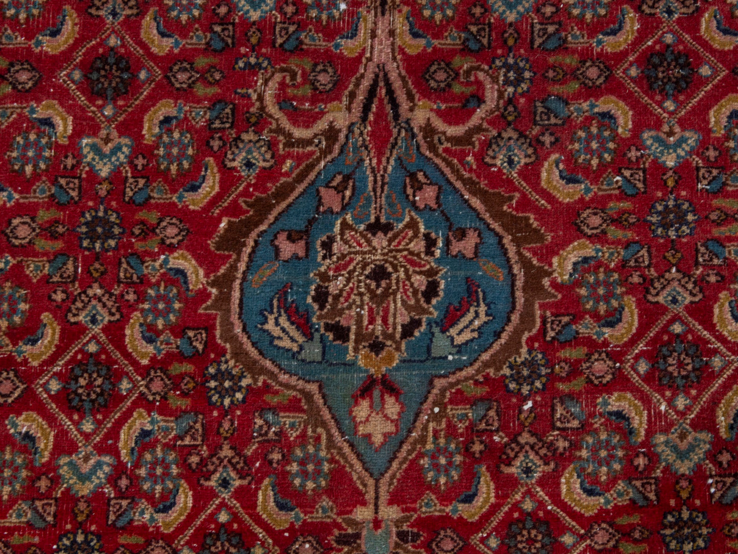 CAN_4391 - 8'6" x 11'10"