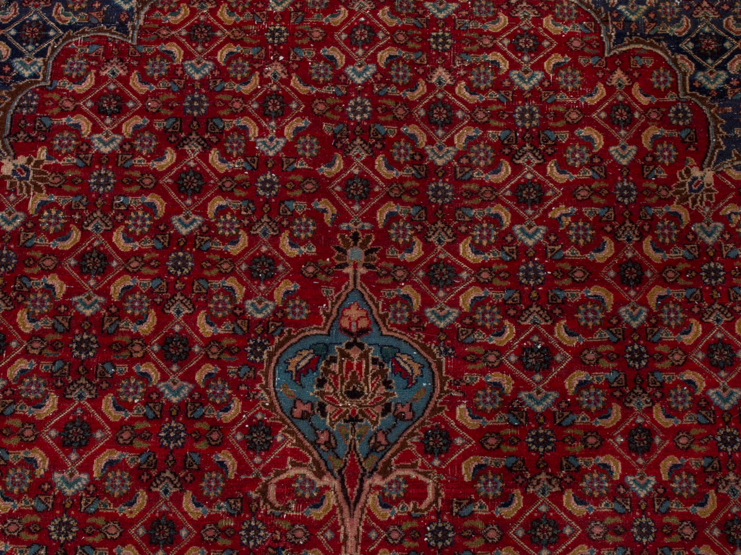 CAN_4391 - 8'6" x 11'10"