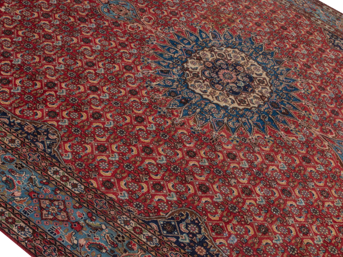 CAN_4391 - 8'6" x 11'10"