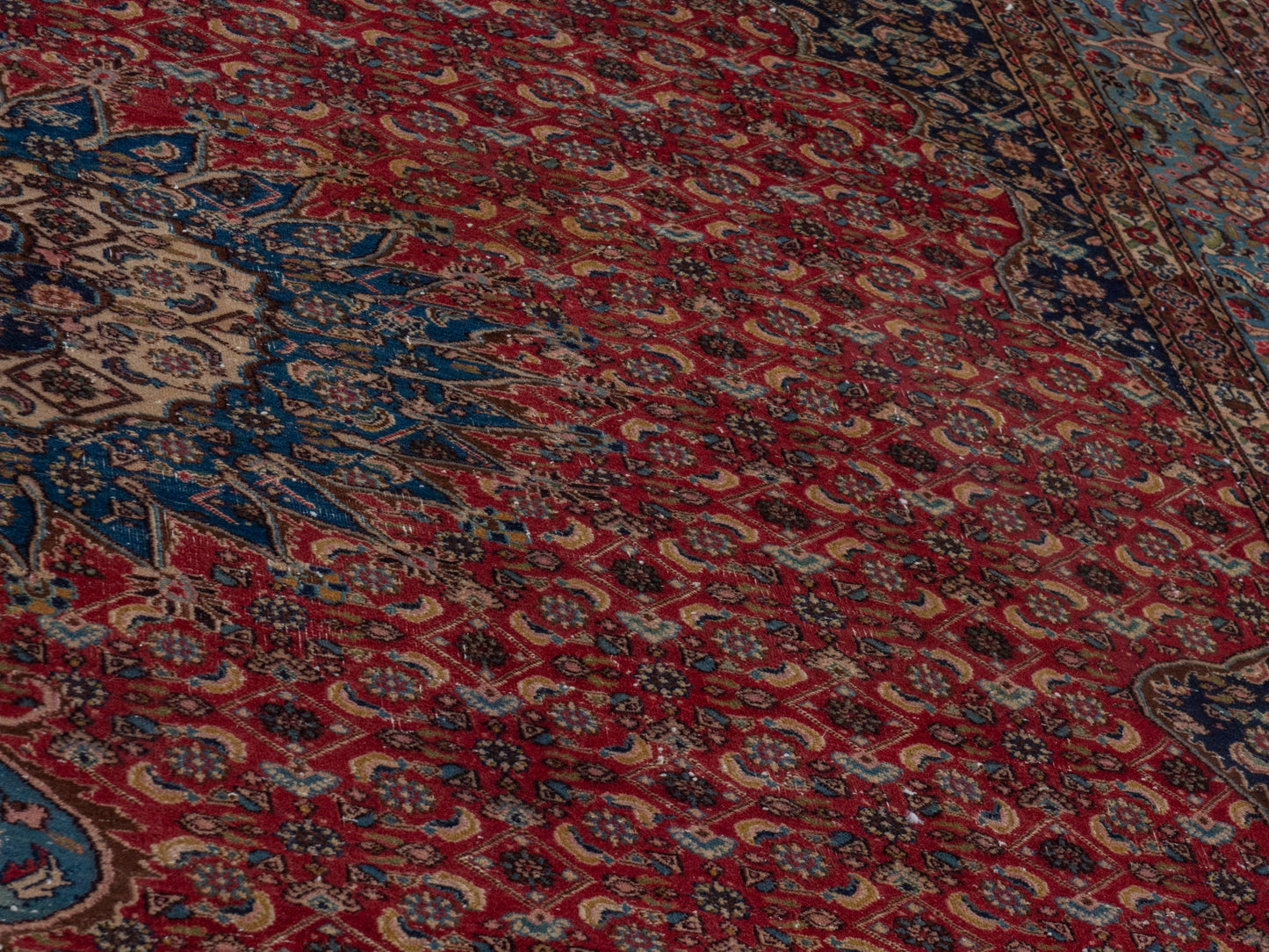 CAN_4391 - 8'6" x 11'10"