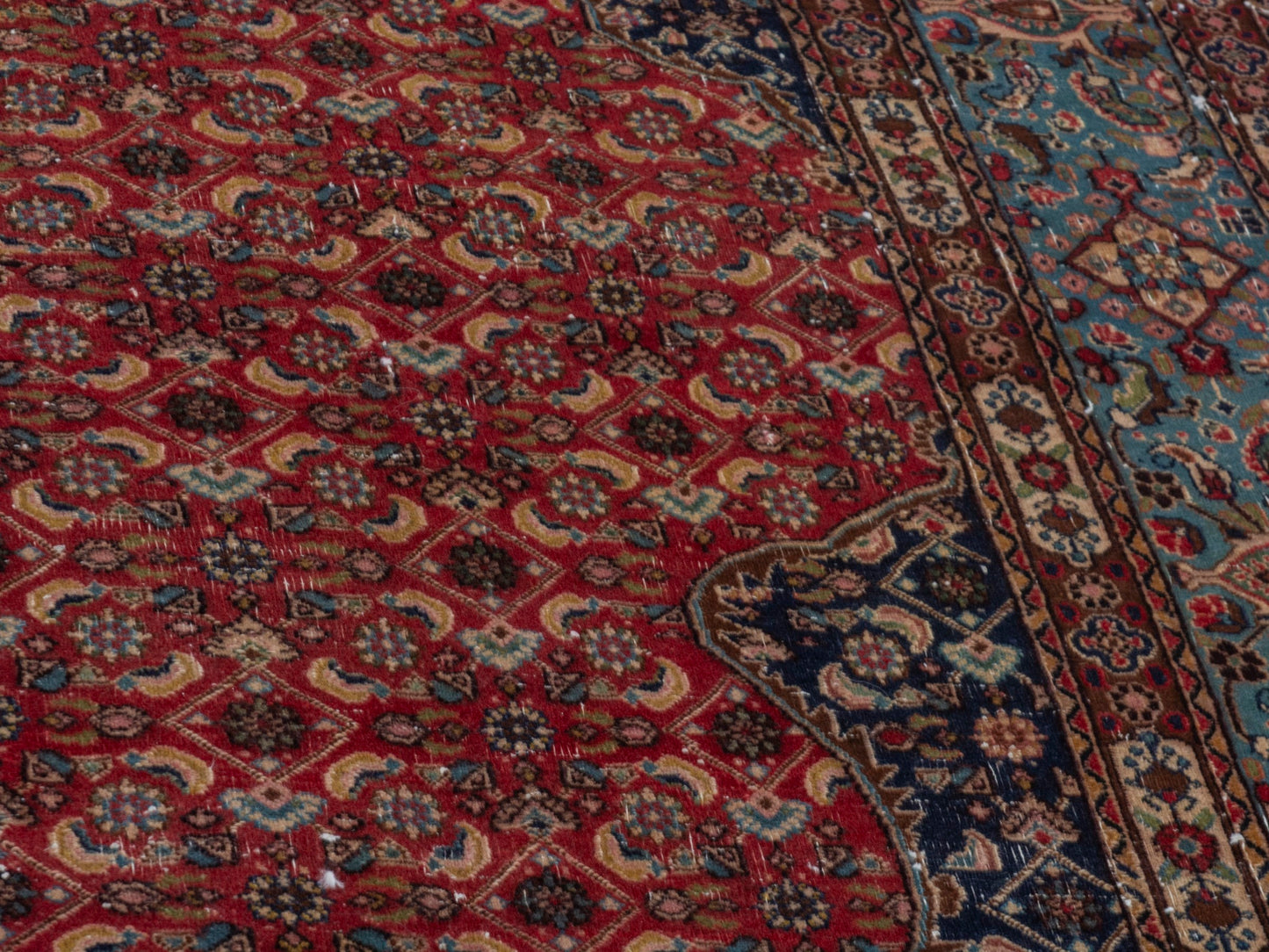 CAN_4391 - 8'6" x 11'10"