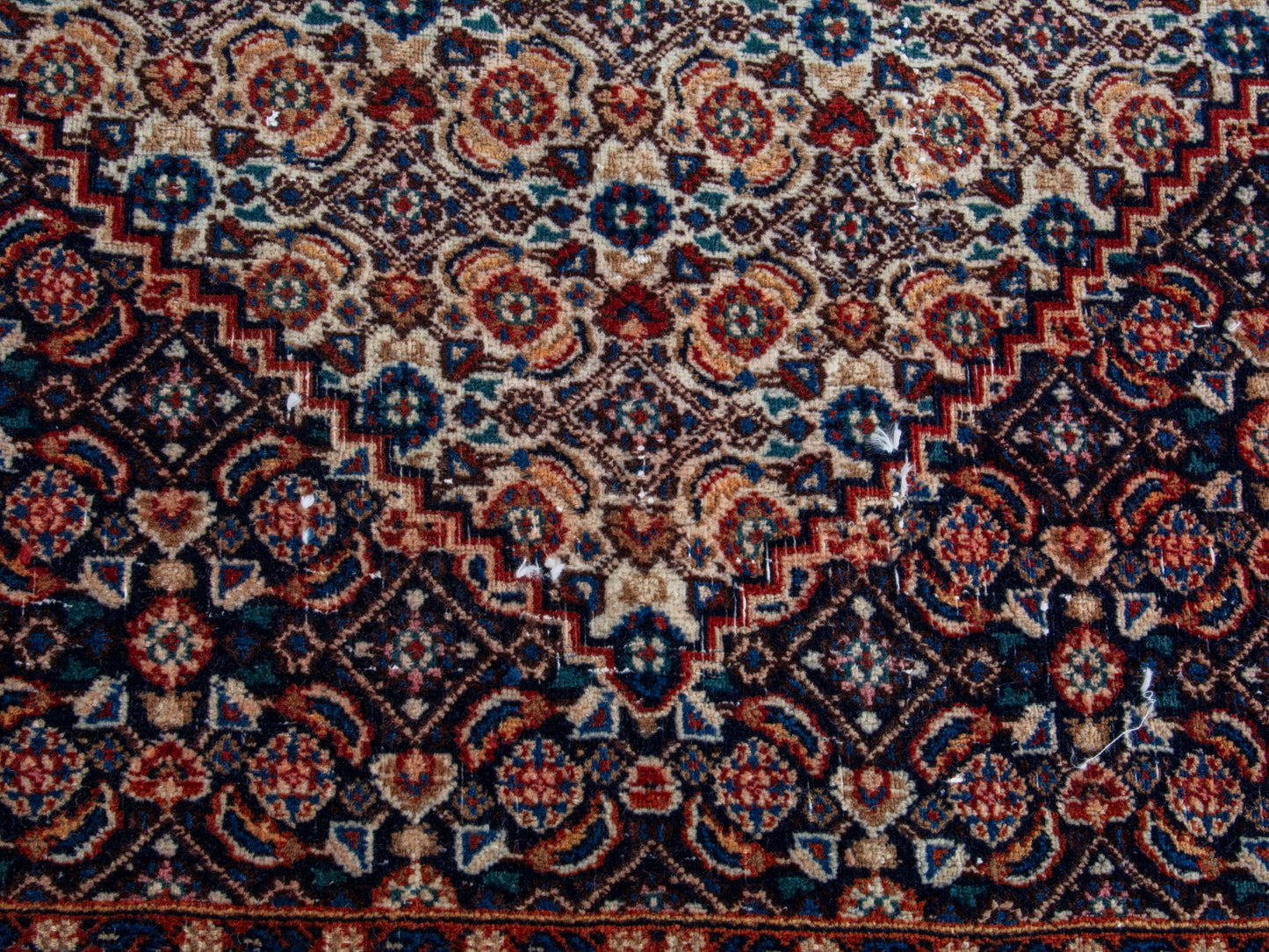 CAN_4399 - 9'11" x 13'6"
