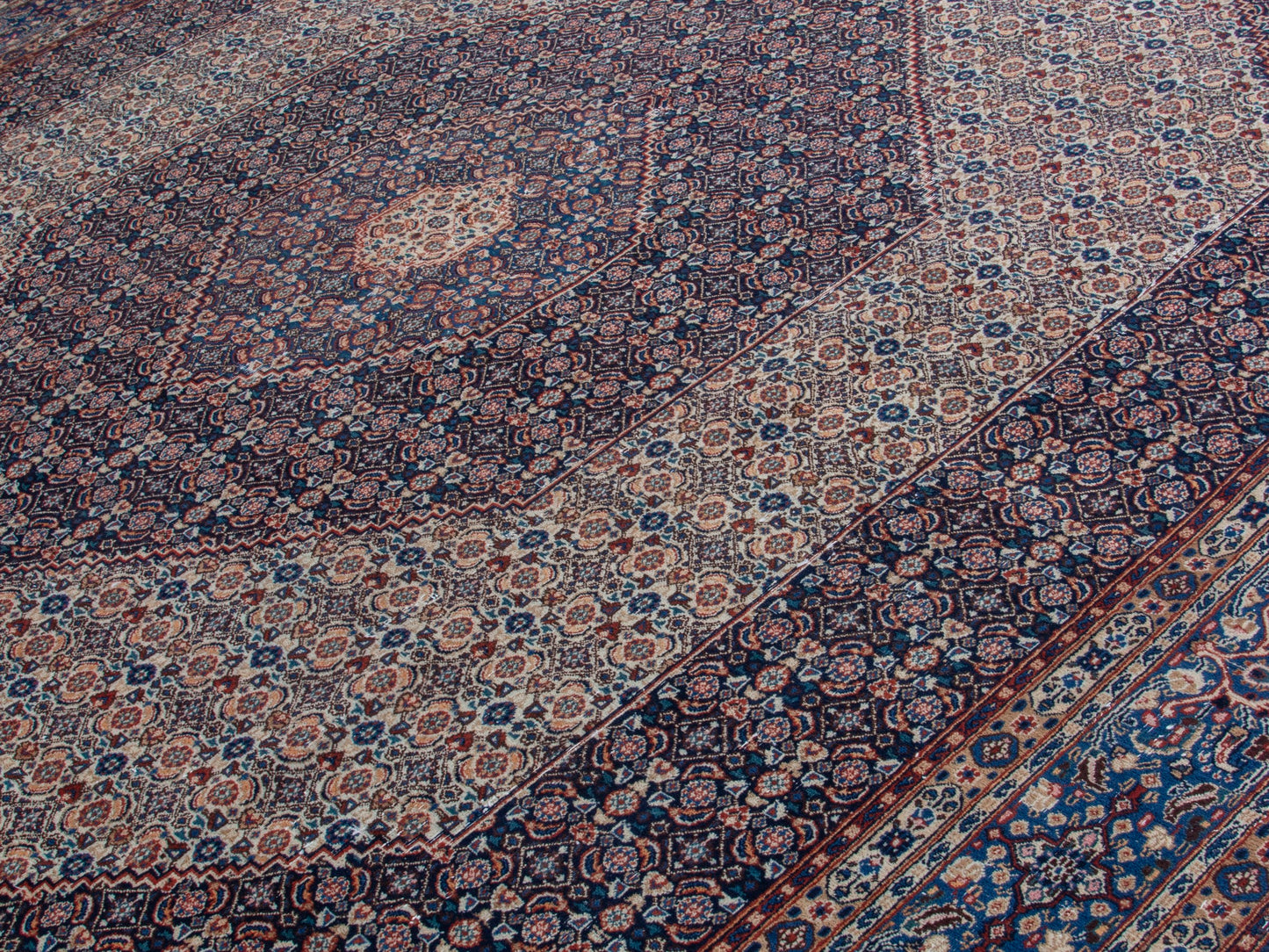 CAN_4399 - 9'11" x 13'6"