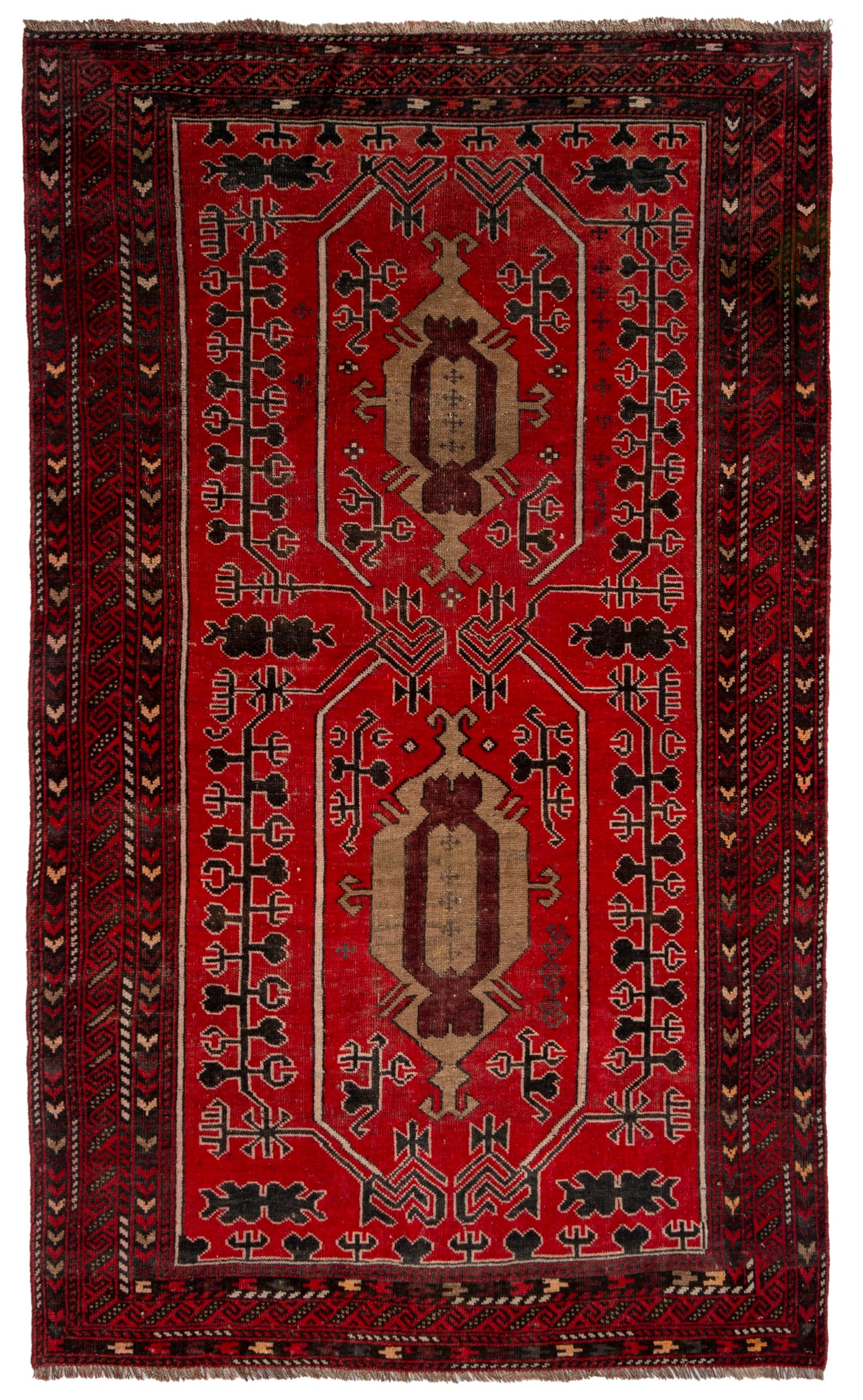 CAN_4604 - 4'4" x 7'3"