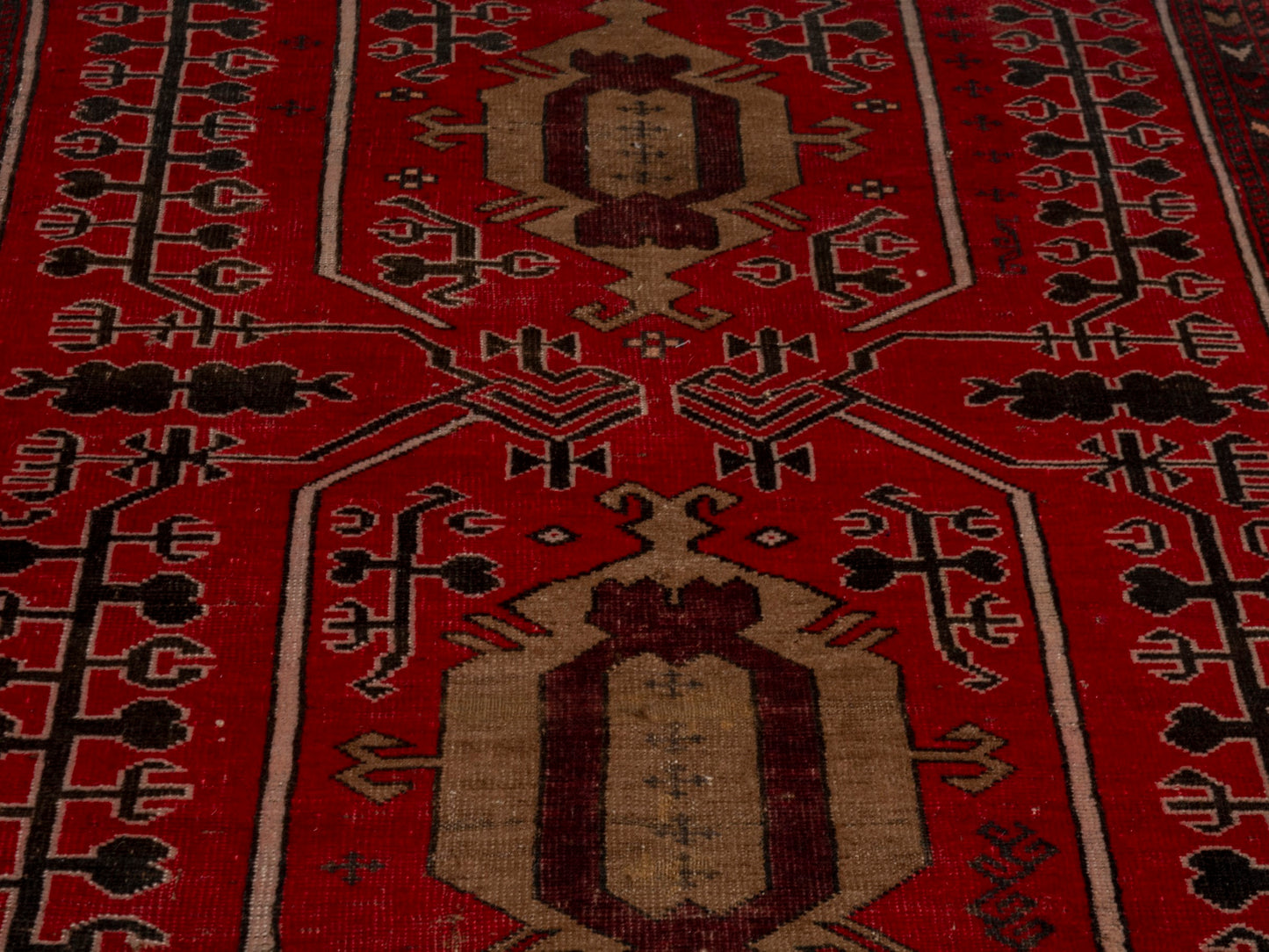 CAN_4604 - 4'4" x 7'3"
