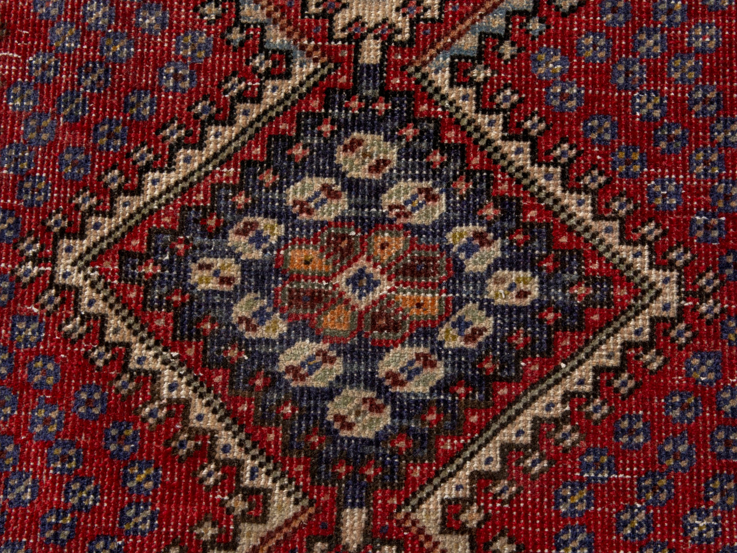 CAN_4605 - 3'3" x 5'1"