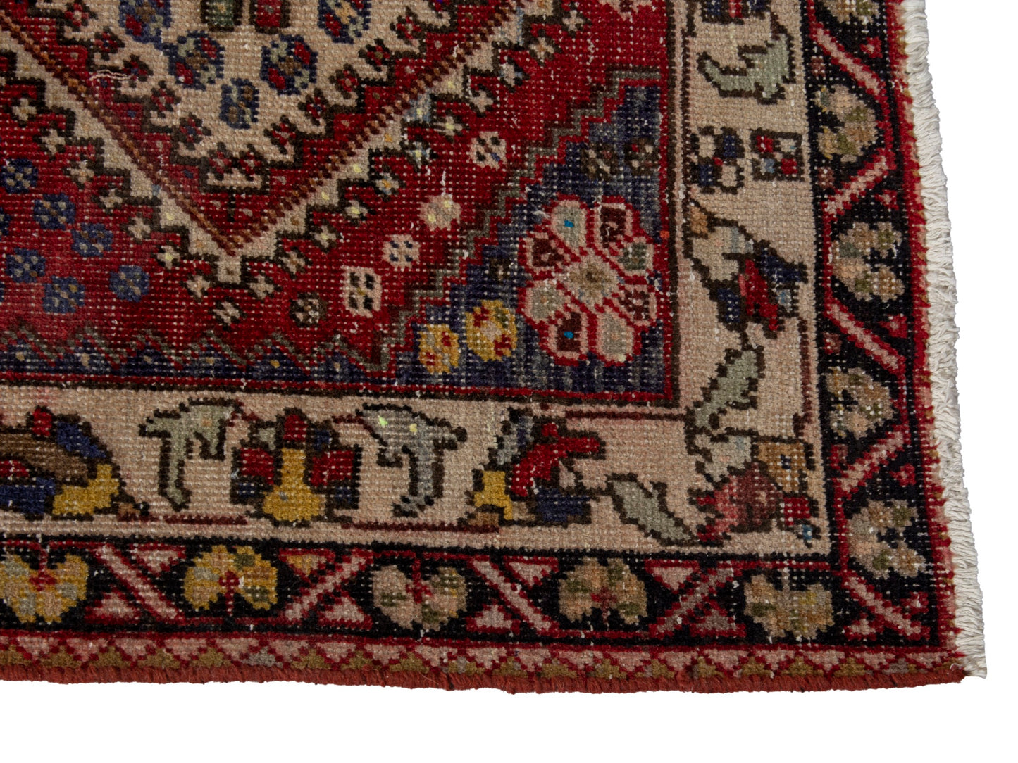 CAN_4605 - 3'3" x 5'1"